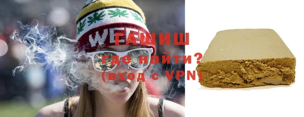 шишки Верея