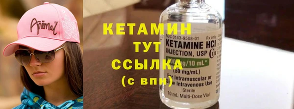 шишки Верея